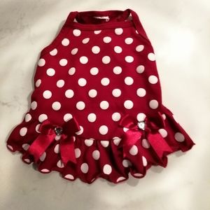 Adorable polkadot dog dress